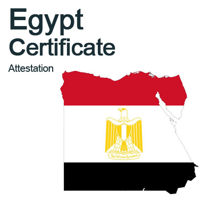 Corporate Tax Services in the UAE
