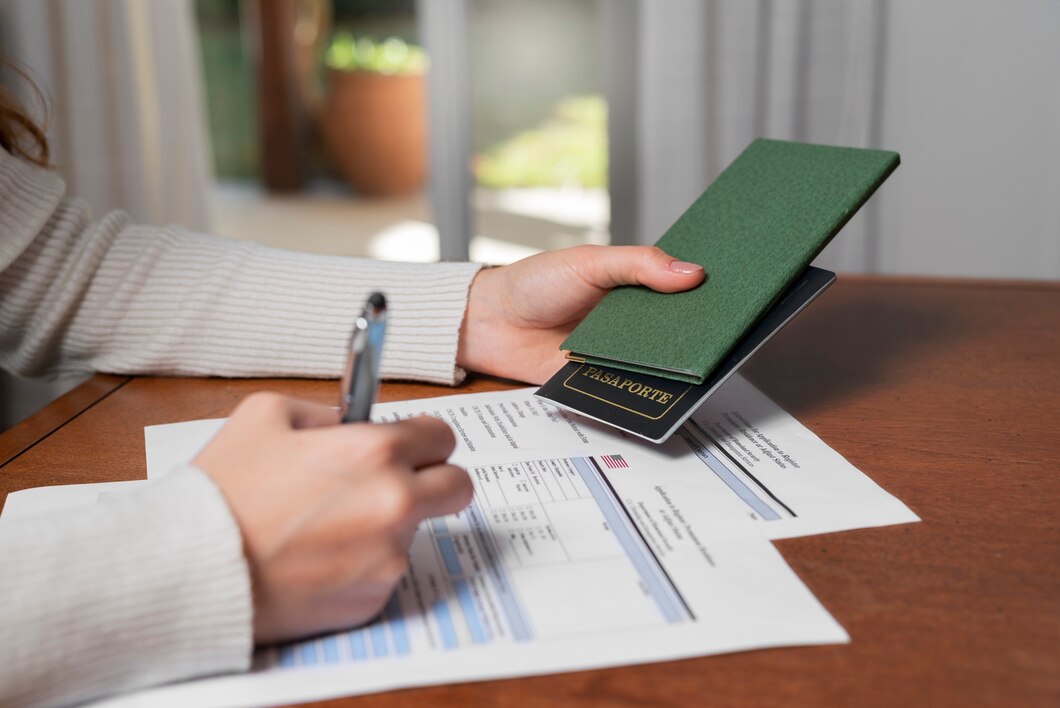 Freelance Visa Services